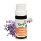 Lavender (lavandula hybrida super) - essential oil organic 10 ml. - Bergila